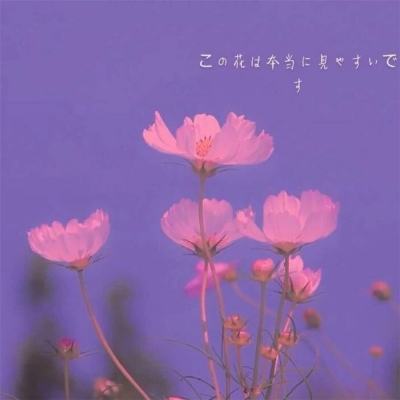 爱体育官方app下载截图