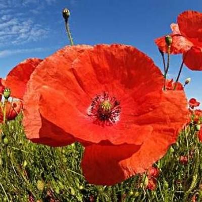 爱体育官方app下载